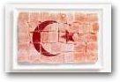 14. La Turquie  » Click to zoom ->